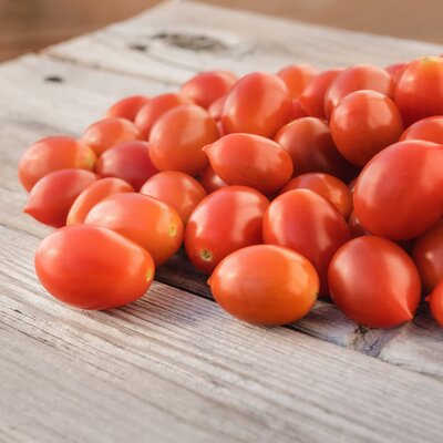Solanum lycopersicum 'Pantelli'